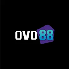 OVO88 - Aplikasi Olahraga Terbaik untuk Penggemar Sports